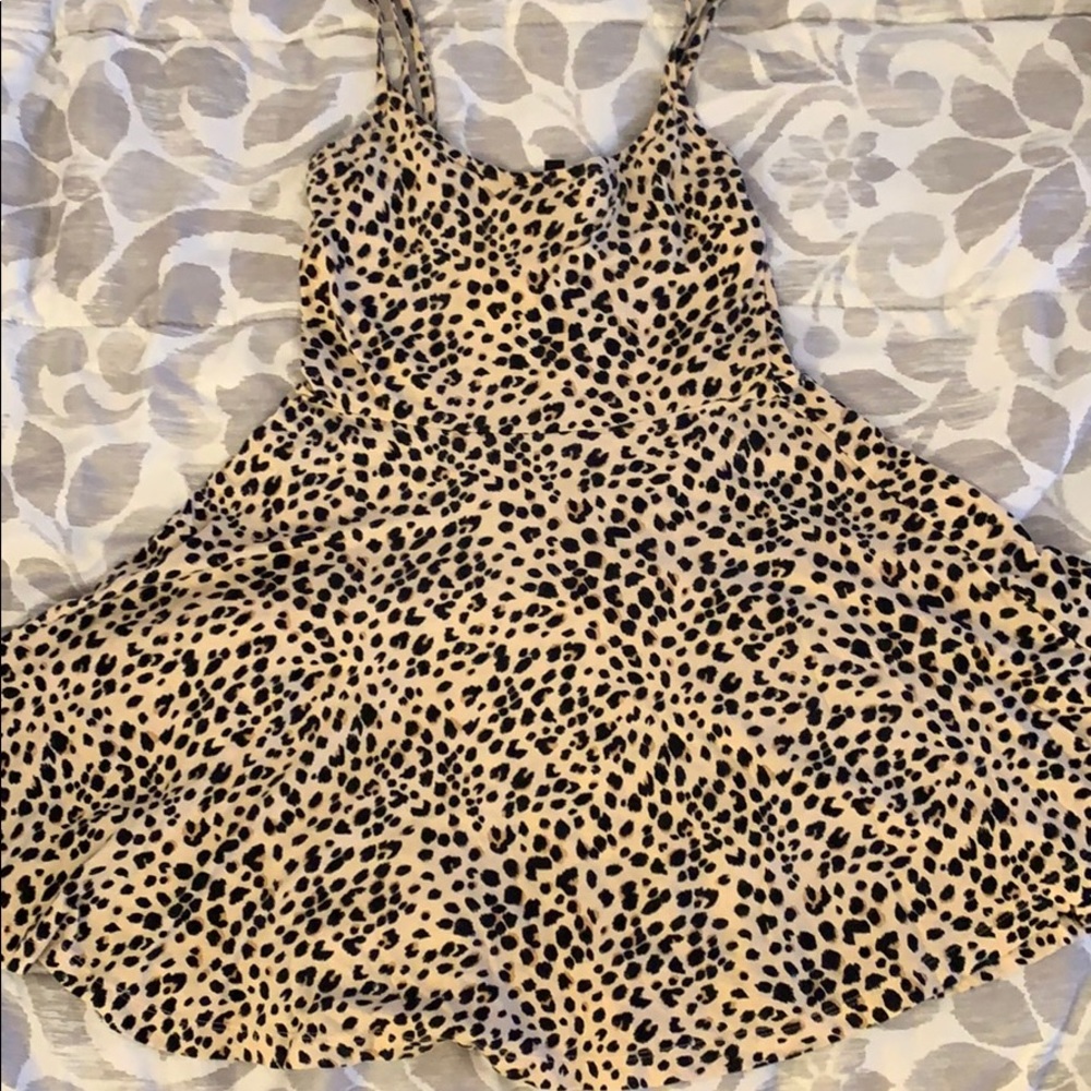 H&M Cheetah Skater Dress